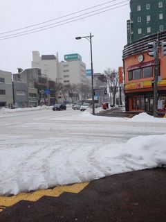 Aomori_WithSprin.jpg